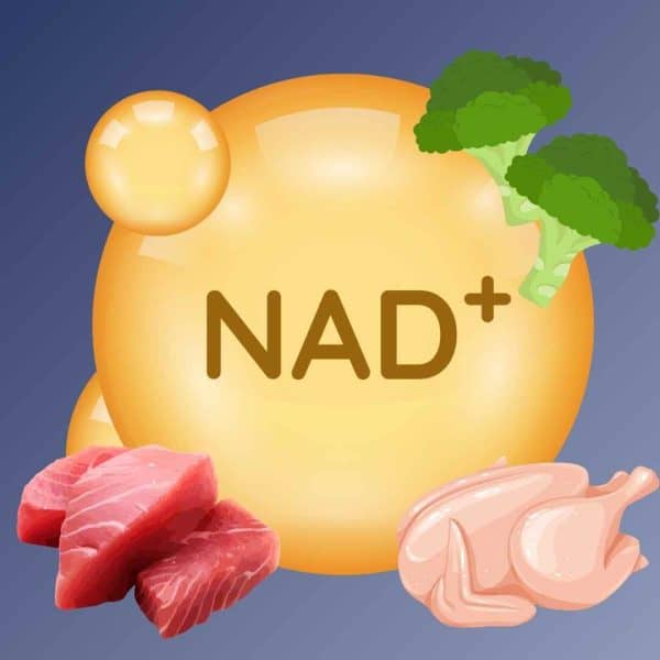 Is Your Body Missing A Vital Key To Bone Strength, Overall Health, And Longevity