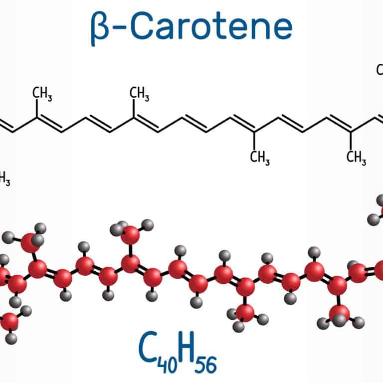 Carotenoids Everything You Need To Know And How To Get Them Save Our
