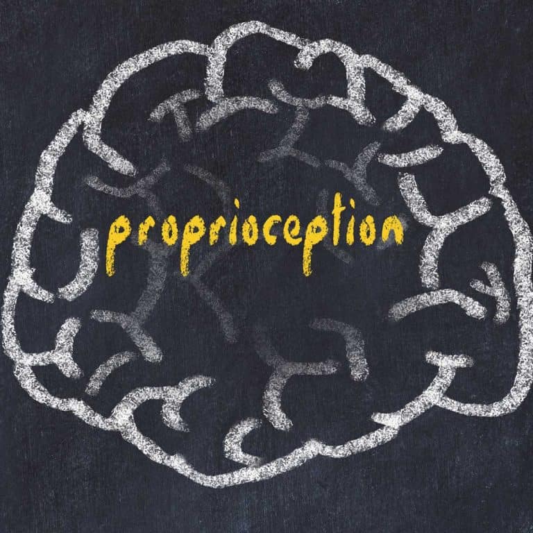 Proprioception And Fall Prevention