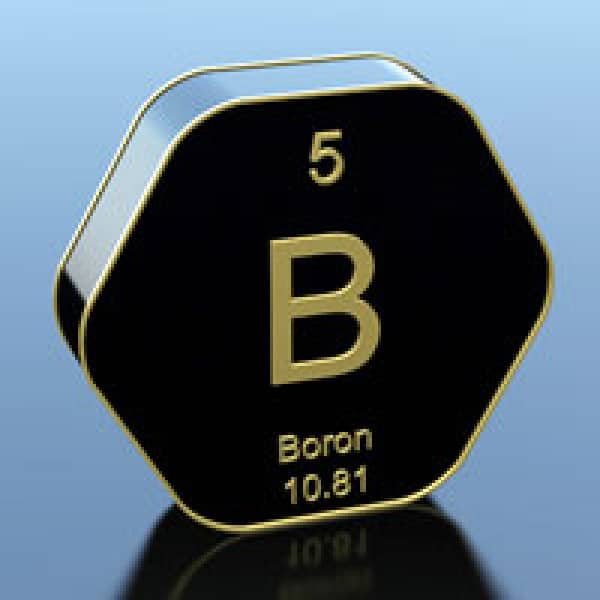 3 delicious bone healthy boron recipes