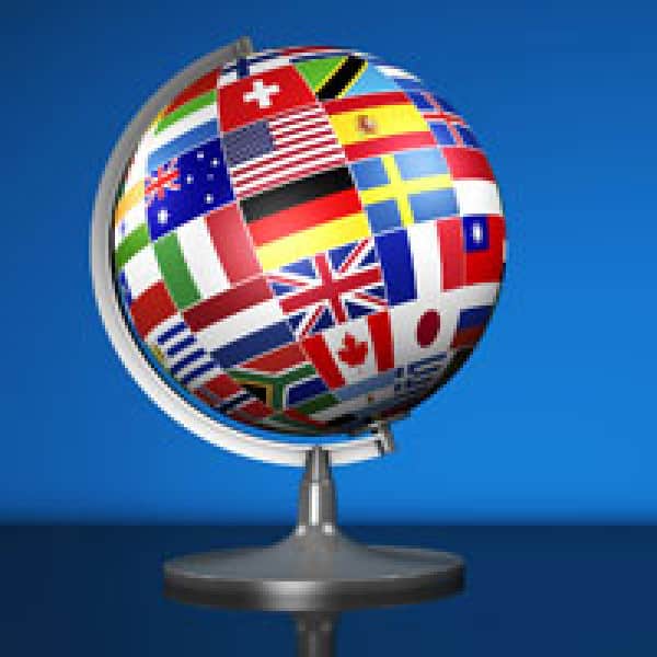 3 international bone building dishes