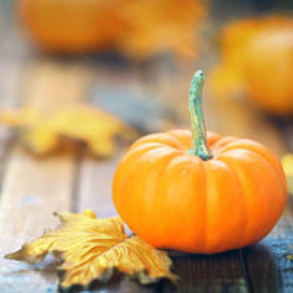 3 'Spooky' Recipes That 'Treat' Your Bones 3 spooky bone recipes