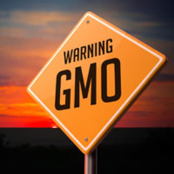 4 ways gmos devestate your bones