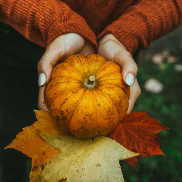 Autumn Pumpkins Not Just For Decoration (They Contain 15 Bone-Building Nutrients!)