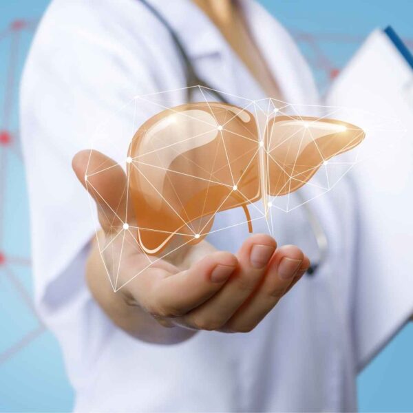 How To Slow Liver Aging And Protect Your Bones How To Slow Liver Aging And Protect Your Bones