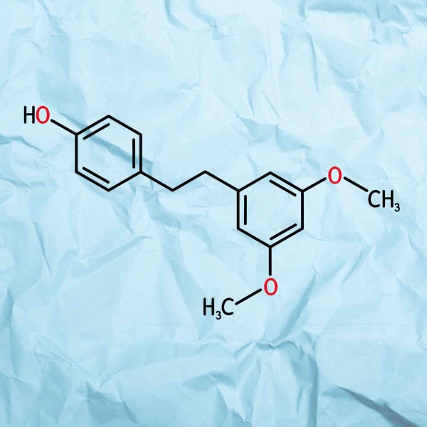 Pterostilbene: The Seldom-Mentioned Polyphenol That Protects Your Bones Pterostilbene The Seldom-Mentioned Polyphenol That Protects Your Bones