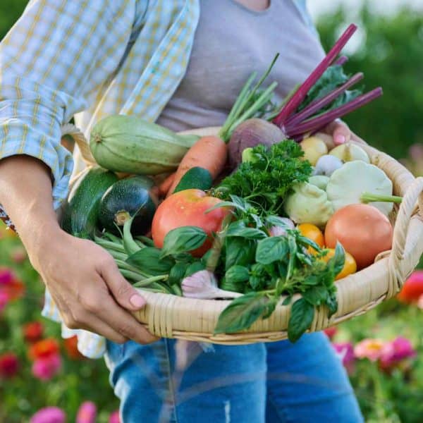 Studies Find Major Crops And Global Diets Are Nutrient Deficient Studies Find Major Crops And Global Diets Are Nutrient Deficient