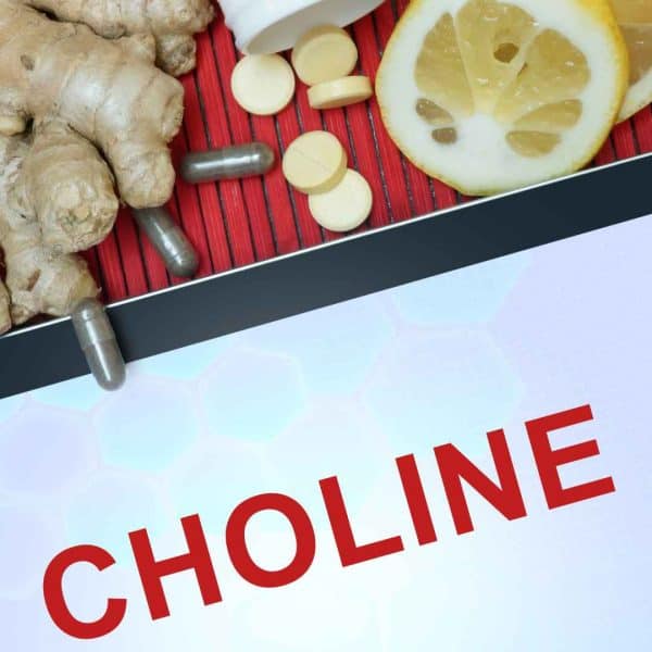 Study Finds Choline Builds Your Bones - Are You Getting Enough Of It? Study Finds Choline Builds Your Bones – Are You Getting Enough Of It