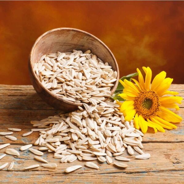 Sunflower Seeds: The Bone And Brain Food Sunflower Seeds: The Bone And Brain Food