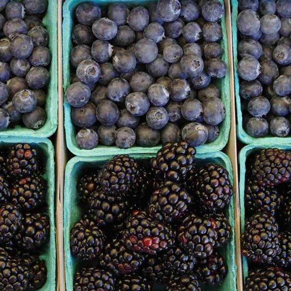 Delphinidin: The Seldom-Mentioned Plant Pigment That Builds Bone Mass The Seldom-Mentioned Plant Pigment That Builds Bone Mass