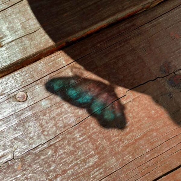 Use This 'Shadow Trick' To Get Maximum Vitamin D Use This 'Shadow Trick' To Get Maximum Vitamin D