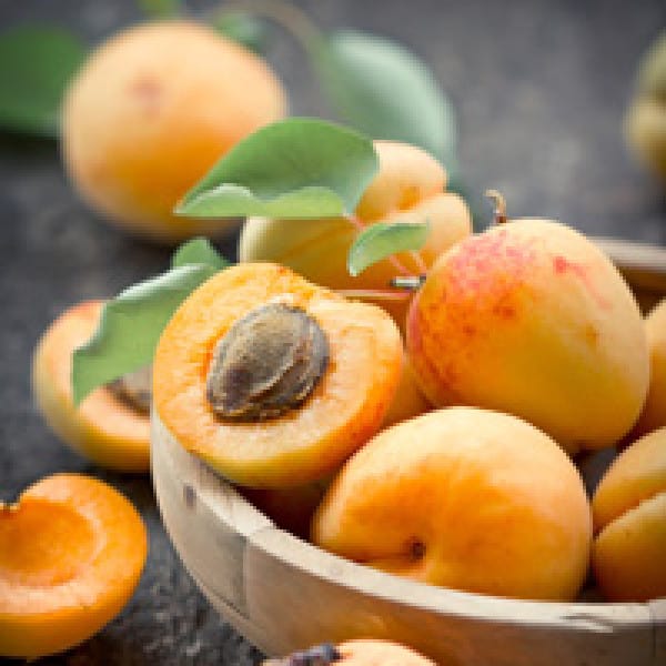 apricot osteoporosis