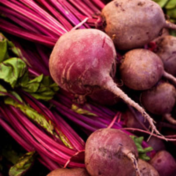 beets osteoporosis