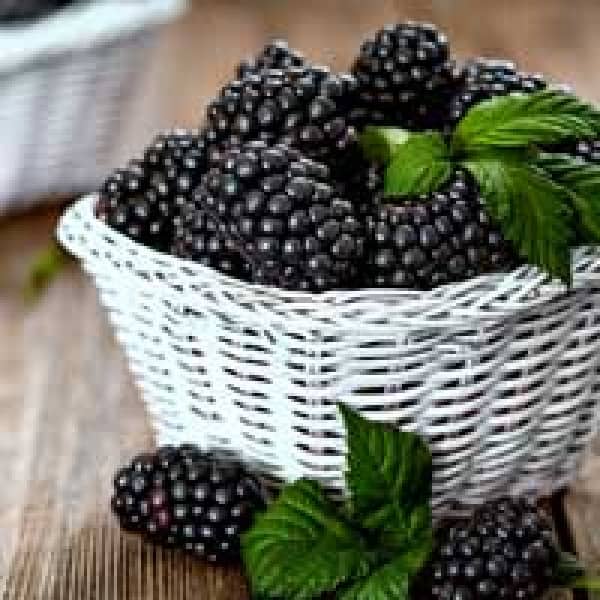 blackberries