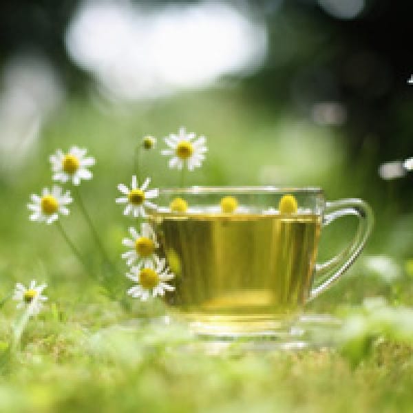 bone building flower