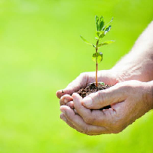 Proof: Your Bones Are Alive! bone remodeling proof