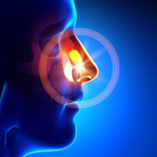 Your Bones, Nose, And Ears: The Unlikely Connection bones nose ears