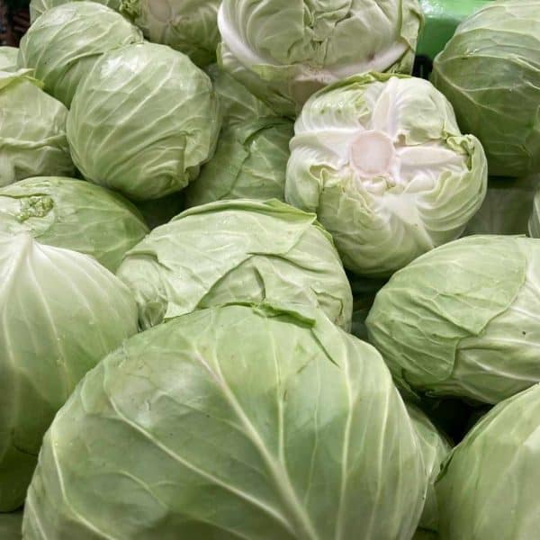 cabbage