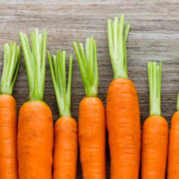 carrots hip fractures