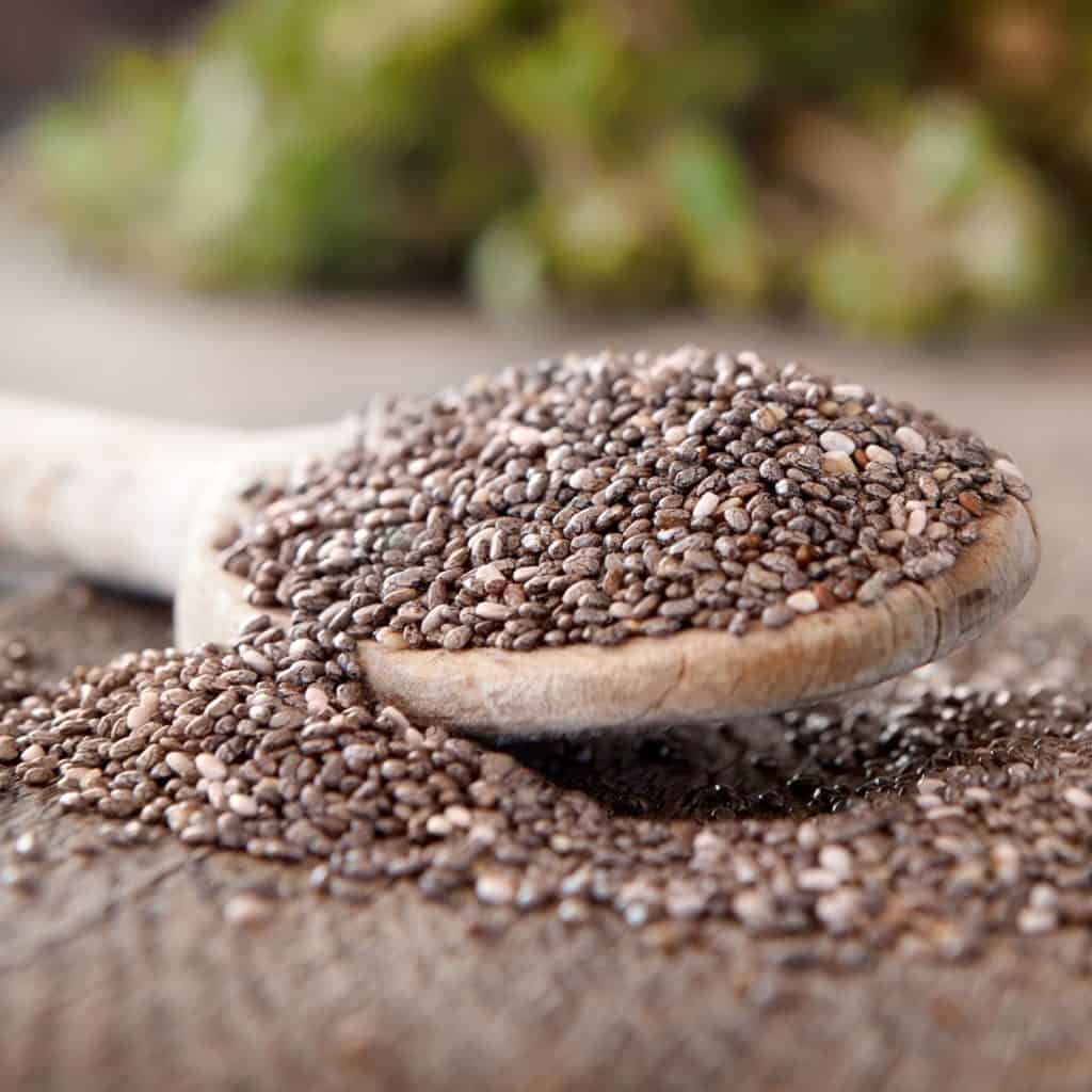 Are Chia Seeds Good For Your Bones? Save Our Bones