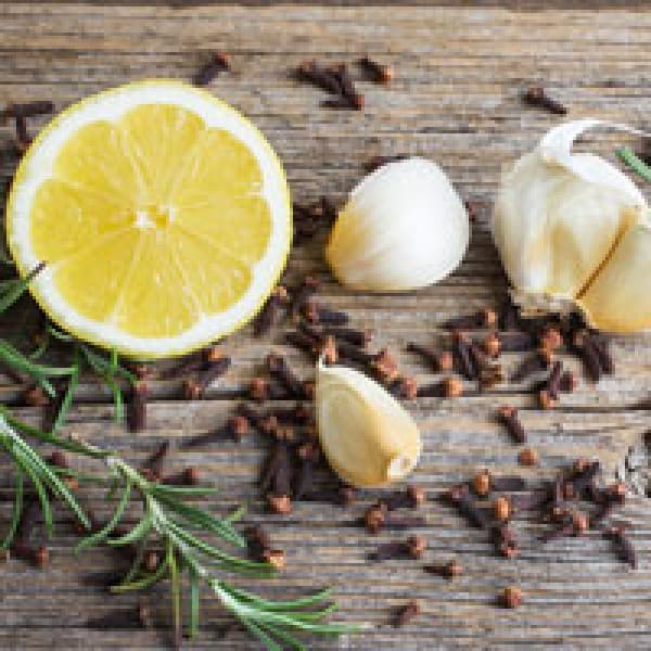 cook 3 bone building ingredients