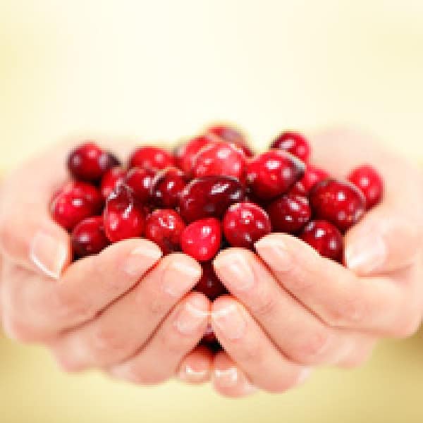 cranberries osteoporosis