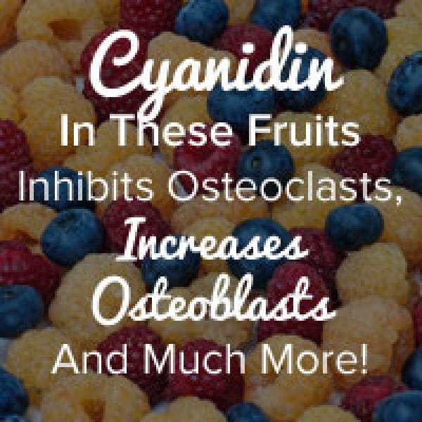 cyanidin osteoporosis