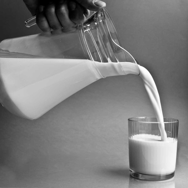 dairy does not prevent bone loss