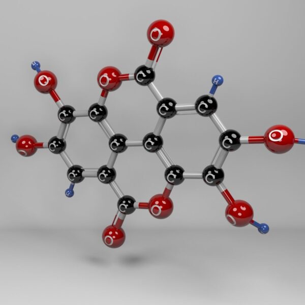 Ellagic Acid: The Unsung Hero Of Bone Health ellagic acid molecule