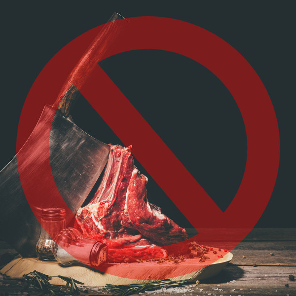 high animal protein death