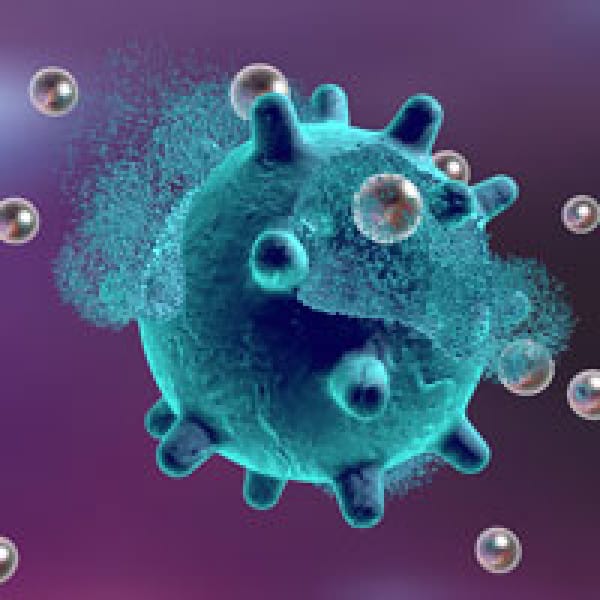 immunity boosters bone health