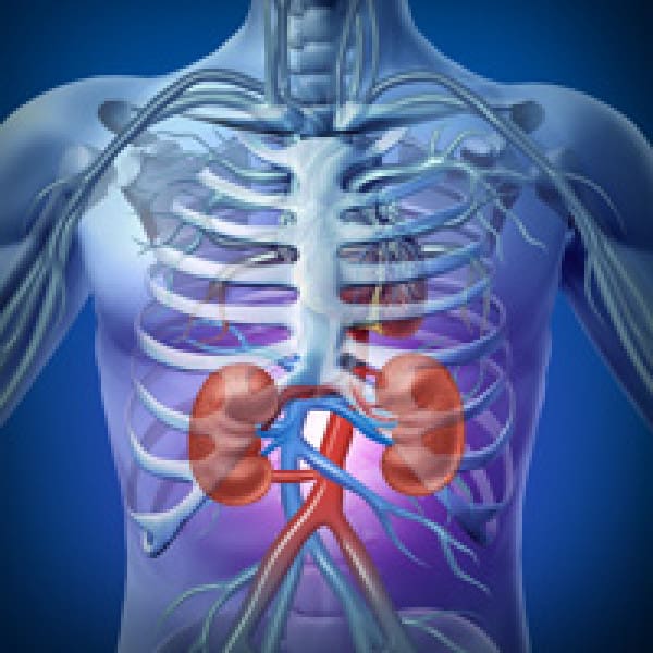 kidneys osteoporosis