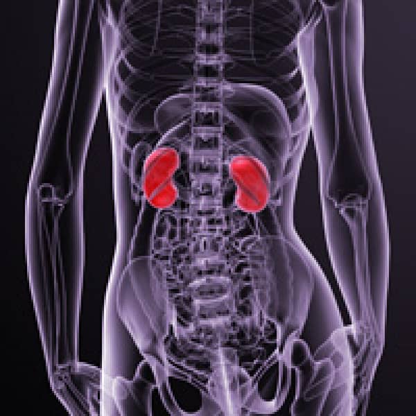 kidneys osteoporosis1