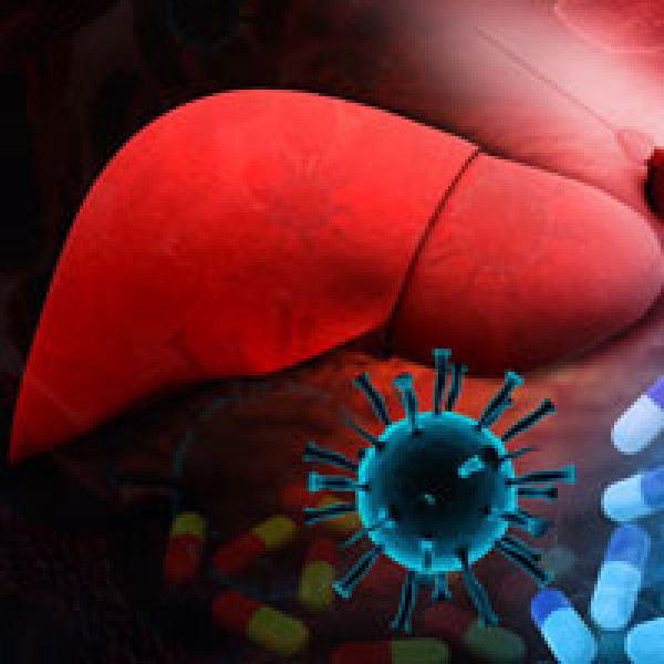 What Liver Disease Can Teach You About How Your Liver Builds Your Bones liver disease bone building