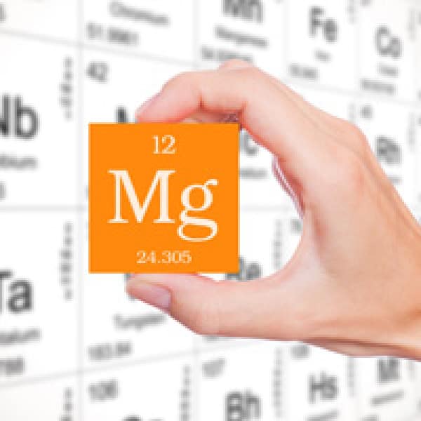 magnesium absorption