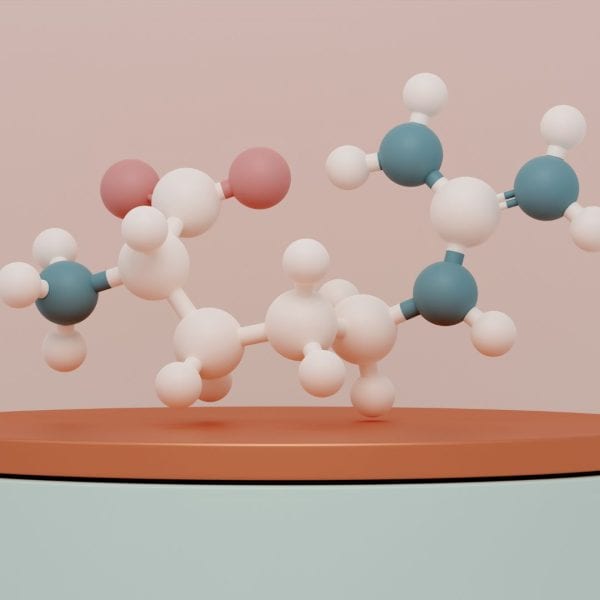 The Rarely-Mentioned Signalling Compound Your Bone Formation Depends On nitric oxide