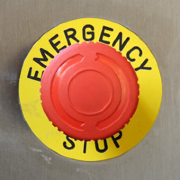 osteoporosis drug stops new bone