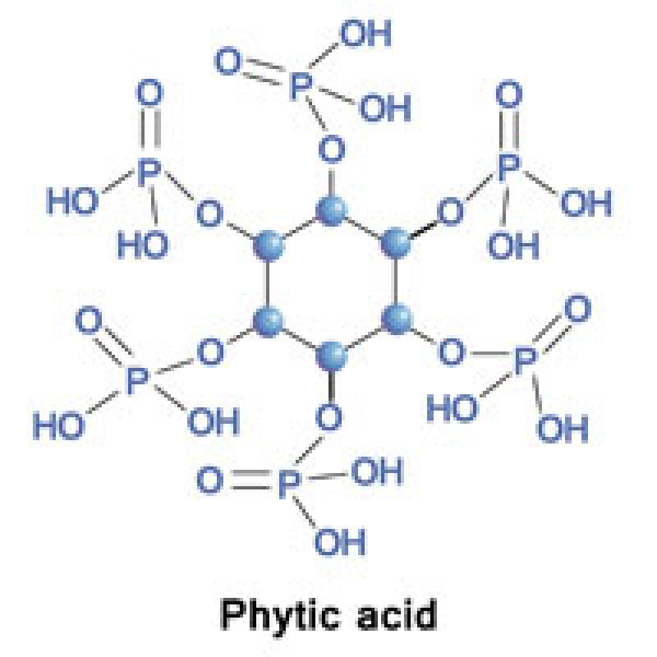phytic acid