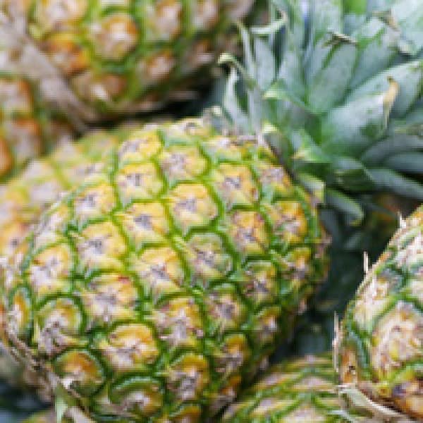 pineapple osteoporosis