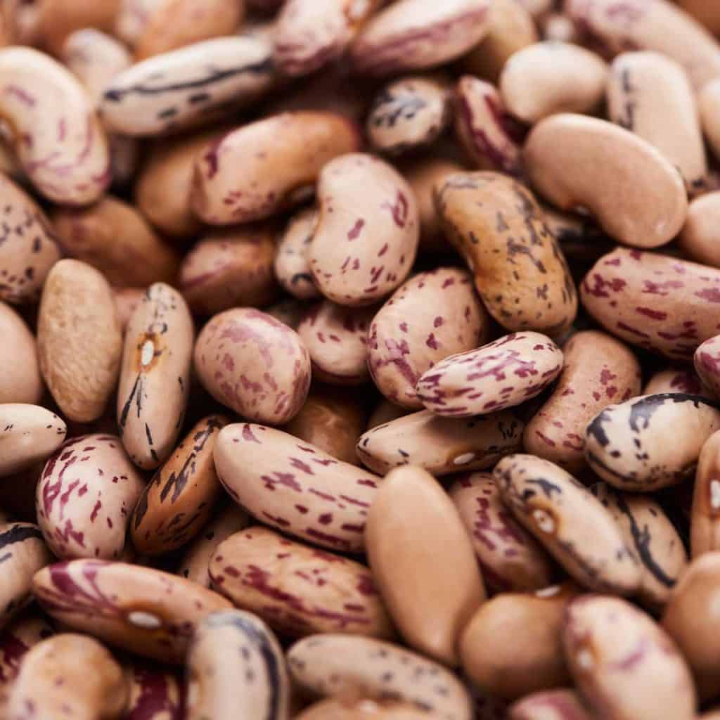 Are Pinto Beans Good For Your Bones? Save Our Bones