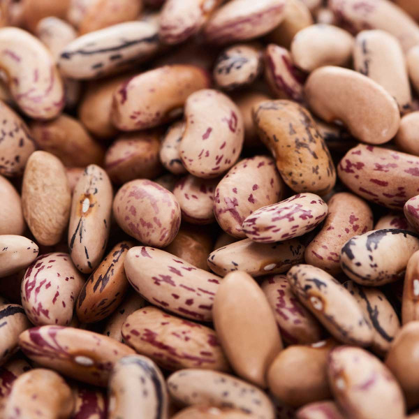 Are Pinto Beans Good For Your Bones? pinto beans