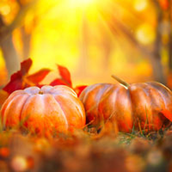 pumpkins bone health