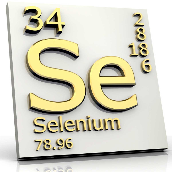 selenium bones