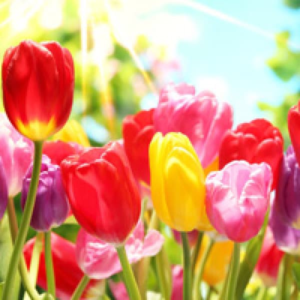 Top 5 Bone-Building Tips For Spring spring bone health