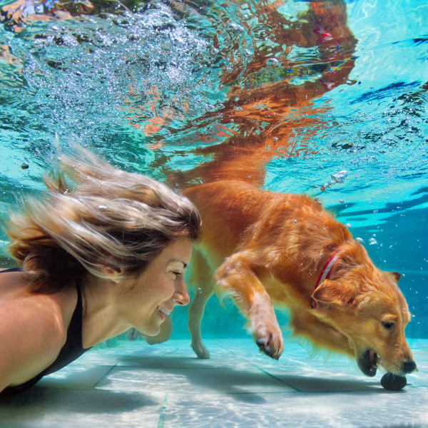 swimming does to your bones