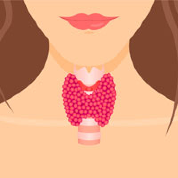 thyroid regulate bone formation