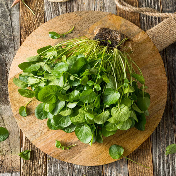 watercress bone health