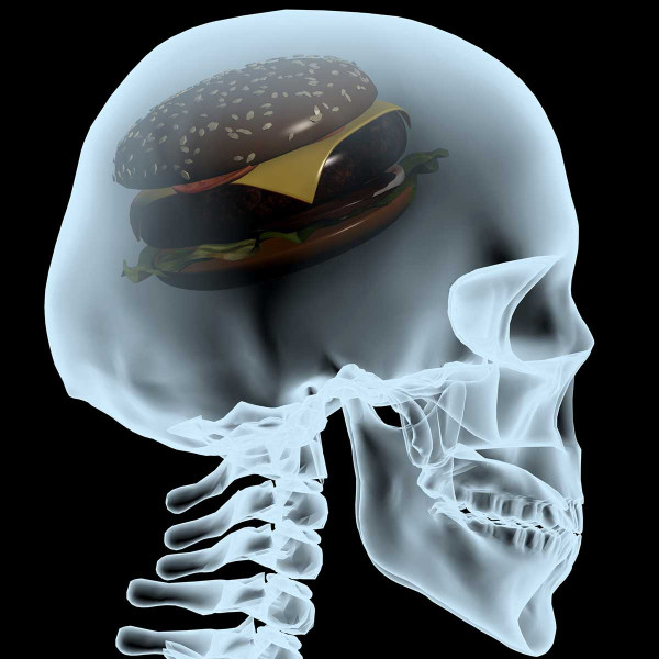 western diet brain